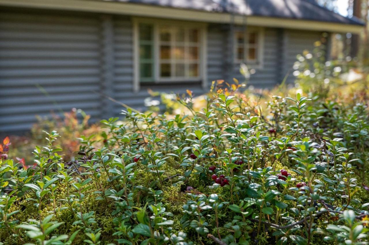 Saimaan Kultaranta Villa Puumala Exteriör bild