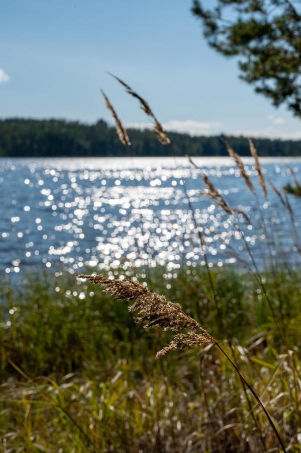 Saimaan Kultaranta Villa Puumala Exteriör bild